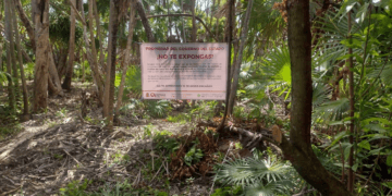 AGEPRO protege el patrimonio de las y los quintanarroenses en Costa Maya