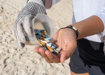 Exitoso “Colillatón” en Playa Forum de Cancún