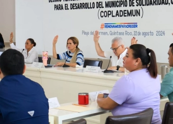 Solidaridad aprueba iniciativa para fortalecer la seguridad