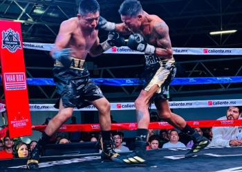 Volcán de emociones con los mejores exponentes del Boxeo