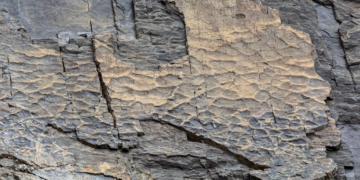 Deshielo revela un ecosistema fosilizado de hace 280 millones de años en los Alpes italianos