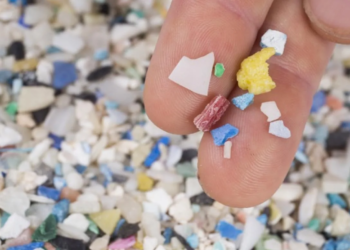 Modelo matemático permite rastrear microplásticos en el mar