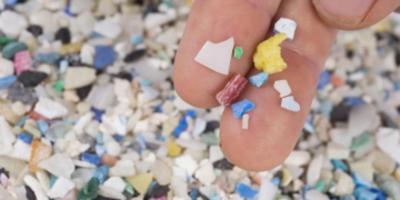 Modelo matemático permite rastrear microplásticos en el mar