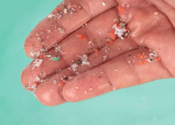 Microplásticos en el cerebro: una creciente preocupación para la salud