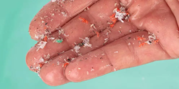 Microplásticos en el cerebro: una creciente preocupación para la salud