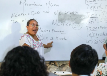 Solidaridad impulsa la inclusión con taller de lengua maya para servidores públicos