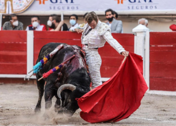 Sheinbaum apoya corridas de toros pero sin maltrato animal