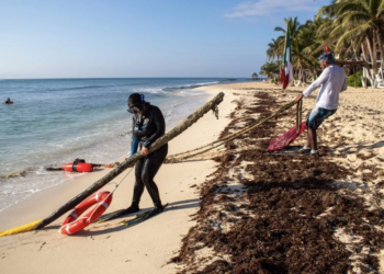Solidaridad recolecta 1.2 toneladas de residuos en limpieza de fondo marino