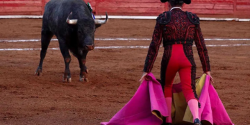 Toreros buscan amparo contra ley anti-violecian en corridas de toros