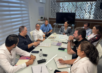 Estefanía Mercado impulsa infraestructura y economía con nuevas acciones en Solidaridad