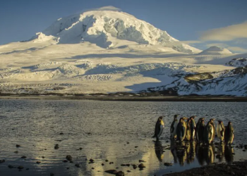 Trump impone aranceles a islas inhabitadas de Australia