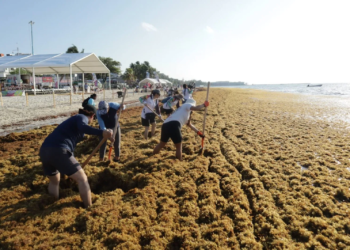 Mayuli Martínez exige estrategia nacional contra el sargazo
