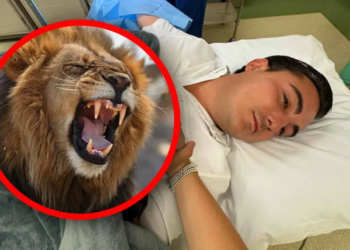 Alcalde de Nuevo León sufre la mordida de un león