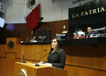 Mayuli Martínez pide no convalidar la elección judicial