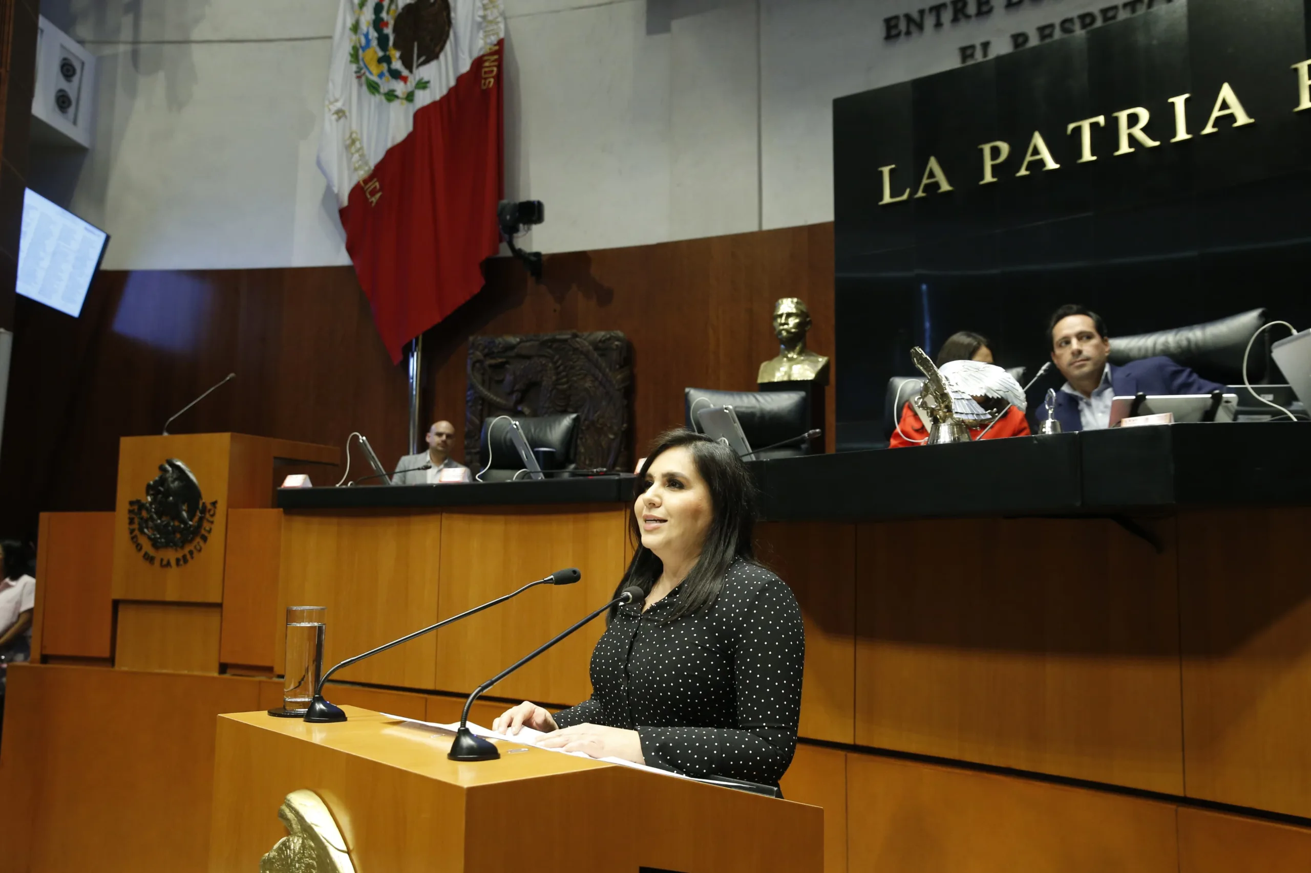 Mayuli Martínez pide no convalidar la elección judicial