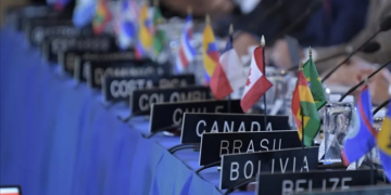 Comienza despliegue de observadores de la OEA para inédita elección judicial en México