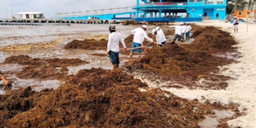 Quintana Roo inaugura 1° centro de monitoreo ambiental y de sargazo en el Caribe
