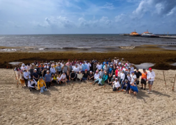 Amexme y DIF se suman al reto sargazo y fortalecen la unión por playas limpias
