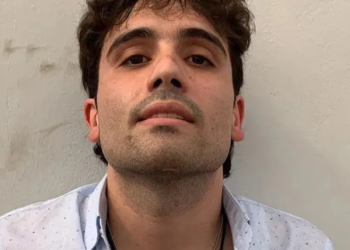 Sheinbaum responde a abogado de Ovidio Guzmán: “Sus declaraciones son irrespetuosas”