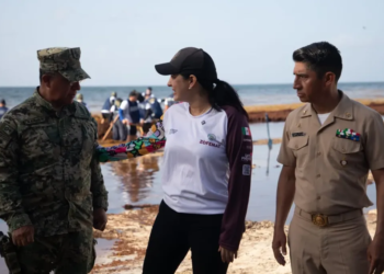 Playa del Carmen refuerza limpieza de playas con operativo conjunto contra el sargazo