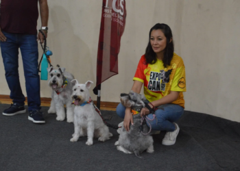 Expocan 2025 fomenta cultura canina y solidaridad en Playa del Carmen