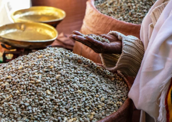 Alertan sobre “catástrofe alimentaria” por aranceles de EE.UU.