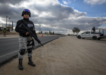 Operación Frontera Norte alcanza 6,807 detenidos y fuertes decomisos