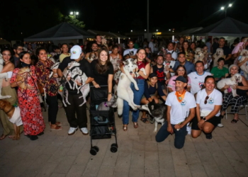 Playa del Carmen celebra la primera edición del Dog Beach Festival