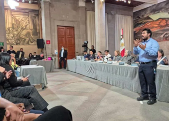 Personas con discapacidad rechazan propuesta de Lenia Batres sobre consultas legislativas