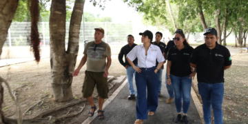 Estefanía Mercado atiende quejas ciudadanas en recorridos por colonias