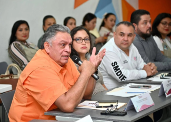 DIF Playa del Carmen presenta avances en atención infantil durante sesión estatal del COPSADII