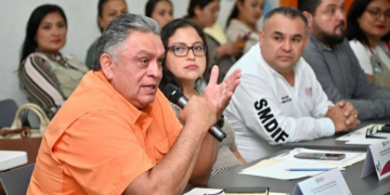 DIF Playa del Carmen presenta avances en atención infantil durante sesión estatal del COPSADII