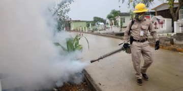 Refuerzan acciones contra el dengue con jornadas de nebulización y descacharrización en Playa del Carmen