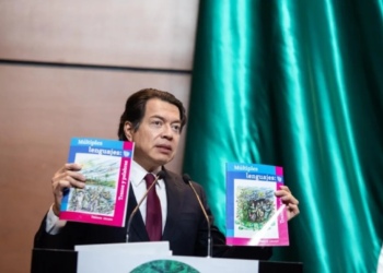 “Un niño que no nace, no va a la escuela” alerta el titular de la SEP