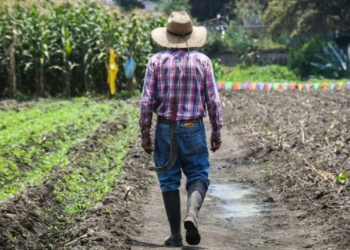 Agrícolas exigen ventanilla universal de crédito ante crisis del campo
