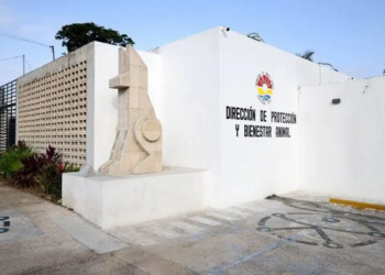 APIQROO instalará cámaras con reconocimiento facial en Isla Mujeres a partir de enero