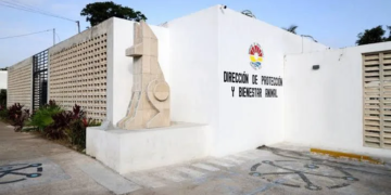 APIQROO instalará cámaras con reconocimiento facial en Isla Mujeres a partir de enero