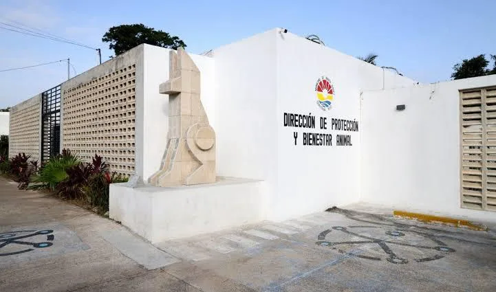 APIQROO instalará cámaras con reconocimiento facial en Isla Mujeres a partir de enero