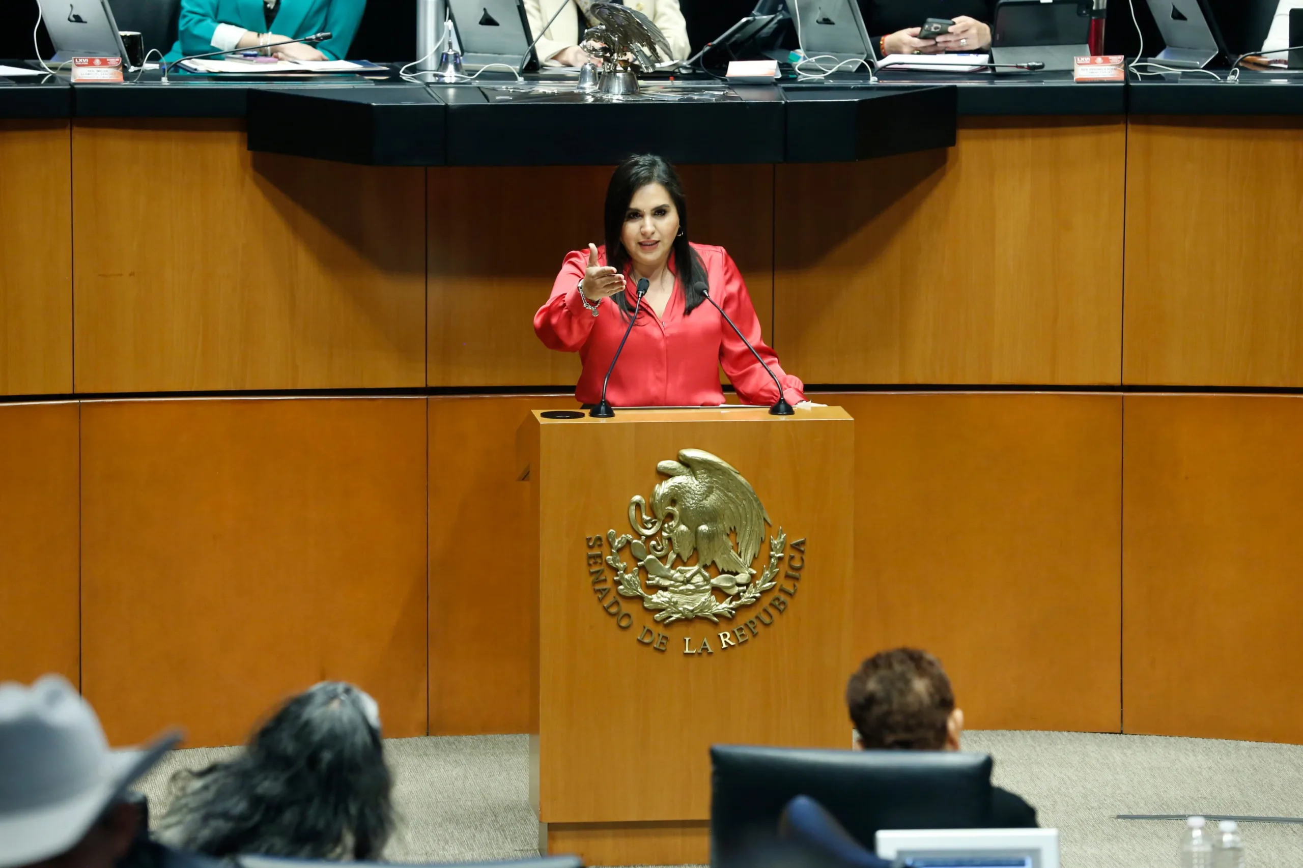 México experimenta retrocesos este 2025: Senadora Mayuli Martínez advierte retrocesos