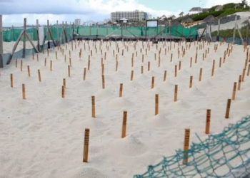 Bomberos de Cancún controlan incendio en vivienda de la Supermanzana 227