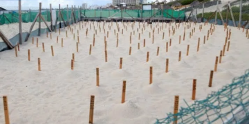 Bomberos de Cancún controlan incendio en vivienda de la Supermanzana 227