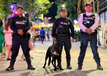 Activa Playa del Carmen operativo “Blindaje Turístico” con coordinación federal, estatal y municipal