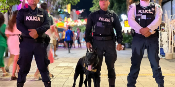 Activa Playa del Carmen operativo “Blindaje Turístico” con coordinación federal, estatal y municipal