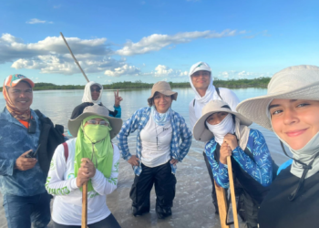 Estudiantes de la Universidad del Caribe suman monitoreo científico a la recuperación de 100 hectáreas de manglar en Sian Ka’an
