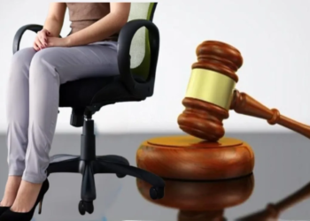 Iniciarán sanciones por incumplimiento de la Ley Silla en Quintana Roo a partir de enero de 2026