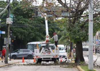 Servicios Públicos de Playa del Carmen atiende derrame de resina natural en la avenida 30