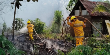 Playa del Carmen cierra la temporada de incendios forestales 2025 con 914 incidentes atendidos
