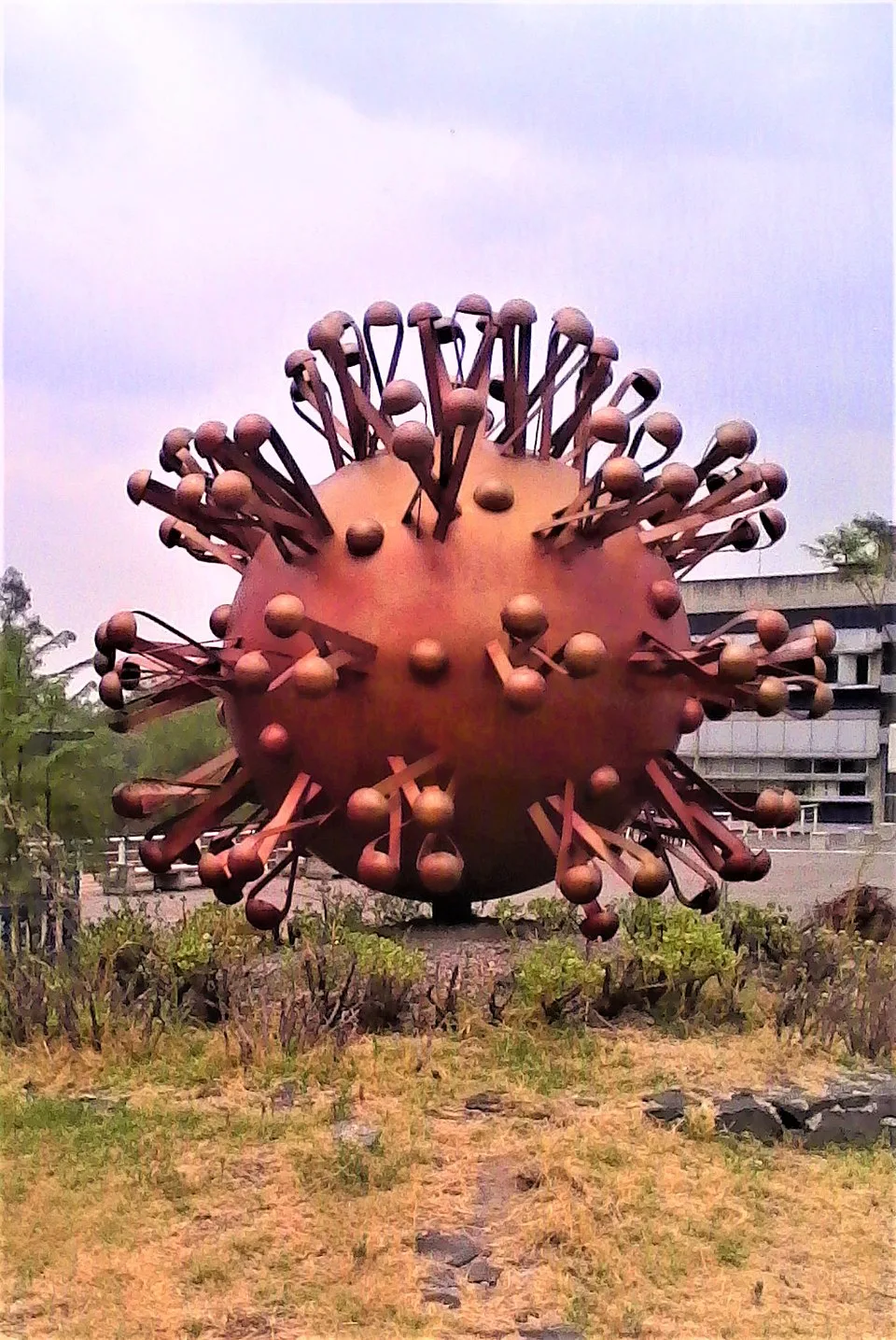 7 de enero de 2020: el primer aviso del coronavirus en Wuhan