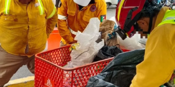 Protección Civil de Playa del Carmen decomisa 300 kg de pirotecnia casera en operativo por venta ilegal