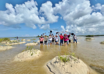 El laboratorio vivo de Cozumel: así se recupera el manglar de Punta Sur, metro a metro